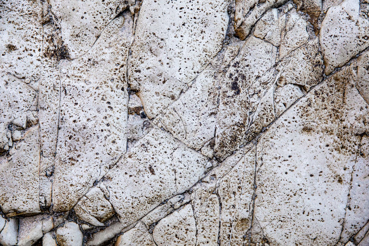 Close-up view of a textured stone surface with distinct patterns.